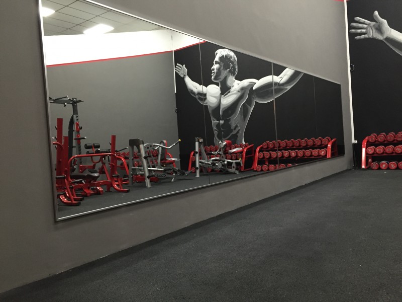 SAS PERFECT GYM Miroir & Sport